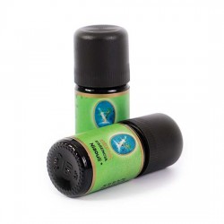 Niaouli Yağı - Organik 5 ml